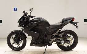 KAWASAKI Z250 2023 ER250C