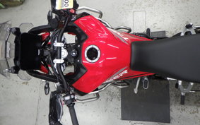 TRIUMPH TIGER 900 GT PRO 2024