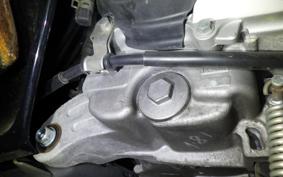 HONDA PCX 125 JF81