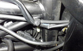 DUCATI DIAVEL Carbon 2016