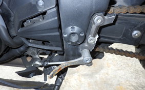 KAWASAKI NINJA 250 EX250L