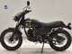 Фото Other AJSデザートSCRAMBLER125 2026 с японского аукциона