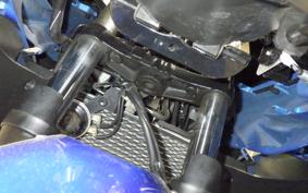 SUZUKI GSX250RA