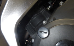 KAWASAKI NINJA 250 2 2021 EX250P