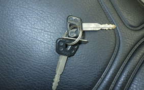 YAMAHA XJR1300 1998 RP01J