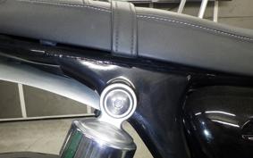 TRIUMPH SPEED TWIN 2019