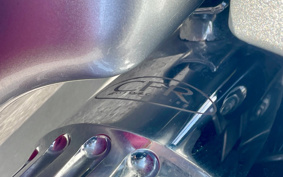 HARLEY FLTRXSE1800CVO 2019 TCL