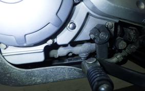 YAMAHA SEROW 250 Gen.2 DG17J