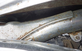 HONDA MONKEY Z50J