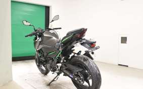 KAWASAKI Z250 Gen.2 2024 EX250Y