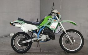 KAWASAKI KDX250SR DX250F