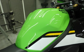 KAWASAKI ZX-4RR 2024