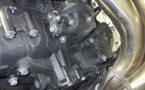 KAWASAKI Z900RS 2024 ZR900K