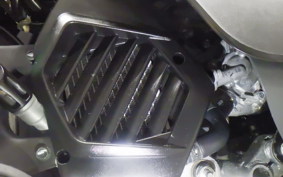 HONDA TACT Basket 2017 AF75