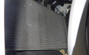 KAWASAKI NINJA 250 EX250P