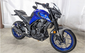 YAMAHA MT-25 RG43J