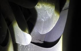 HONDA DIO ZX GEN 2 AF35