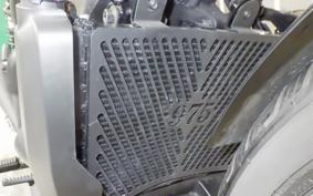 HARLEY RH975S 2024