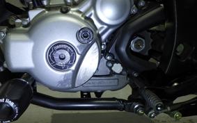 YAMAHA WR250X 2021 DG15J