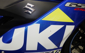 SUZUKI GSX250R 2018