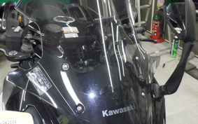 KAWASAKI NINJA 1000SX 2024 ZXT02K