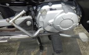 HONDA C110 SUPER CUB