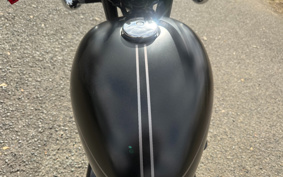 KAWASAKI W800 STREET 2020 EJ800B
