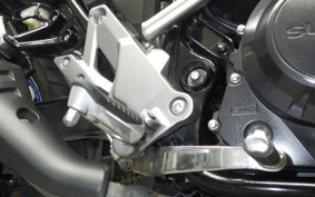 SUZUKI Vｽﾄﾛｰﾑ250A 2008