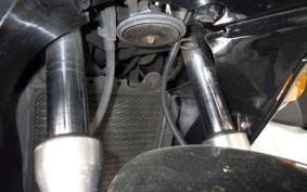 KAWASAKI ZZ-R250 EX250H