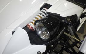 OTHER UNREGISTERED MODEL by BDS TRIKE250
