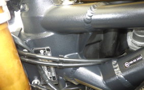 TRIUMPH DAYTONA 675