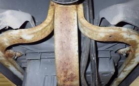 SUZUKI LET's 4 CA41A