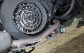 HONDA BENLY 50 2002 AA03