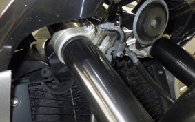 YAMAHA FZ1 FAZER 2009 RN21J