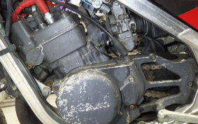 SUZUKI RG250 Gamma 1989 GJ21B