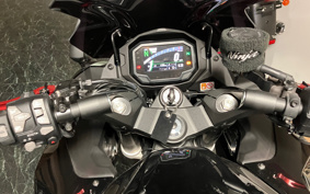 KAWASAKI NINJA 1000 SX 2024 ZXT02K