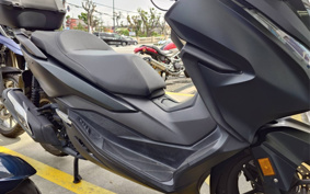 HONDA  FORZA 250 MF13