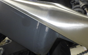 SUZUKI GSX250 R 2024