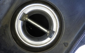 HONDA FORESIGHT EX MF04