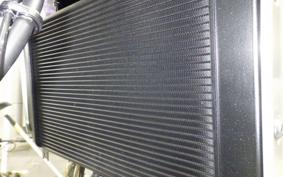 KAWASAKI Z900RS 2025 ZR900K