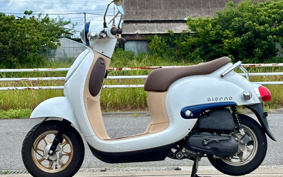 HONDA GIORNO AF77