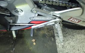 APRILIA RS250 2024