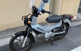 HONDA CROSS CUB JA60