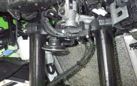 KAWASAKI ZX-4RR 2024 ZX400P
