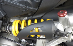 DUCATI 1199 PANIGALE 2014