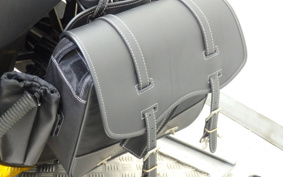 HARLEY HARLEY XL883N 2009 LE2