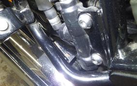 KAWASAKI W800 CAFE 2020 EJ800B