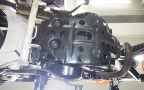 YAMAHA TW225 2019 DG09J