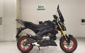 KAWASAKI Z125 PRO BR125H