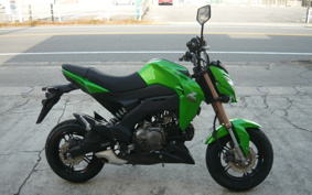 KAWASAKI Z125 PRO BR125H